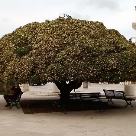 Casa In Salento A בית נופש אוטרנטו